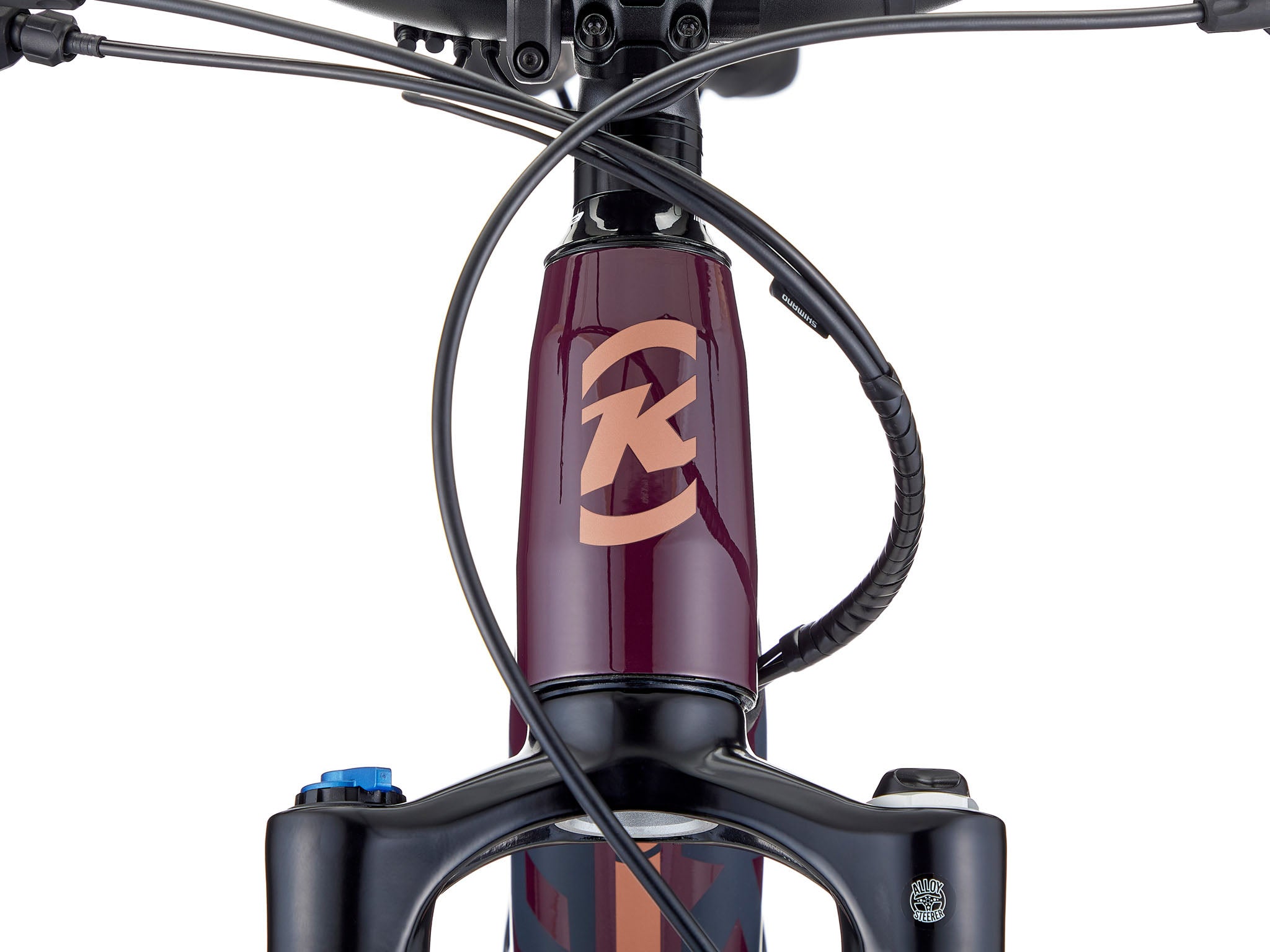 Close-up view of the Shimano pedal-assist motor on the El Kahuna electric bike.