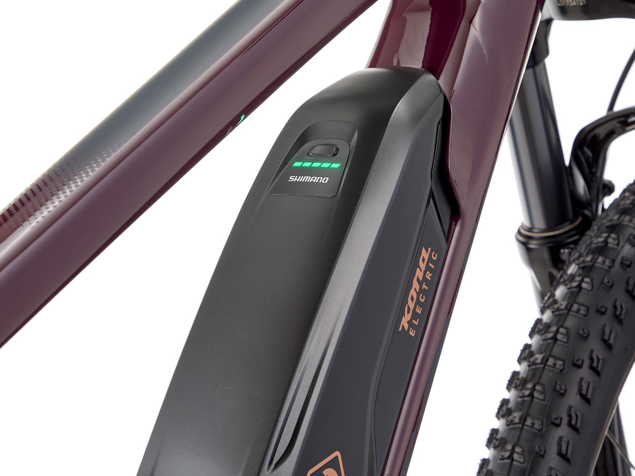 Close-up view of the Shimano pedal-assist motor on the El Kahuna electric bike.