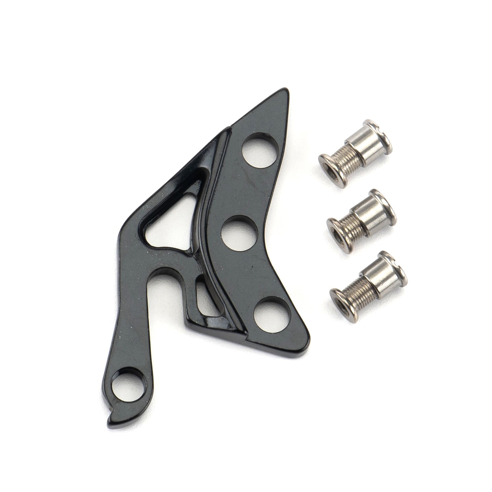 Dropout II derailleur hanger and storage hook side view on Cowan frame