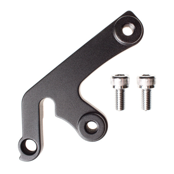 Dropout Y installed on a 2008 COWAN bike frame for easy replacement