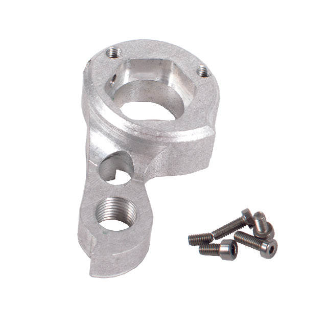 Esatto Ti dropout replacement kit mounted on bike frame showing secure fit